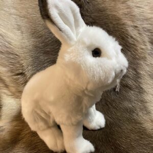 5b0d9ca0-b53f-48f4-924c-0a1ac9925226 Kaisuloom "Jänes", valge (30 cm)