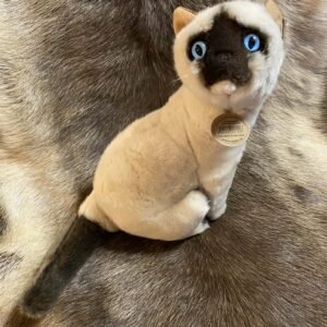 e6bcb522-630b-411a-aa3e-c6e3d71fc38b Kaisuloom “Kass” (27 cm), siiam