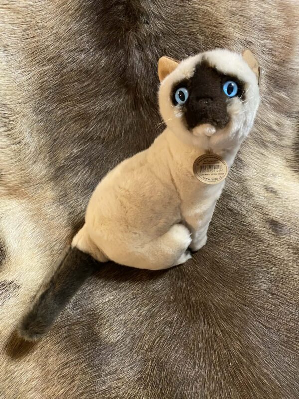 Kaisuloom “Kass” (27 cm), siiam